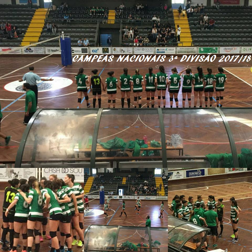 Volei Feminino.png