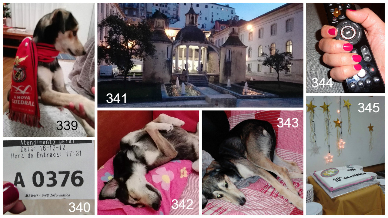 338 345.jpg 338 345.jpg