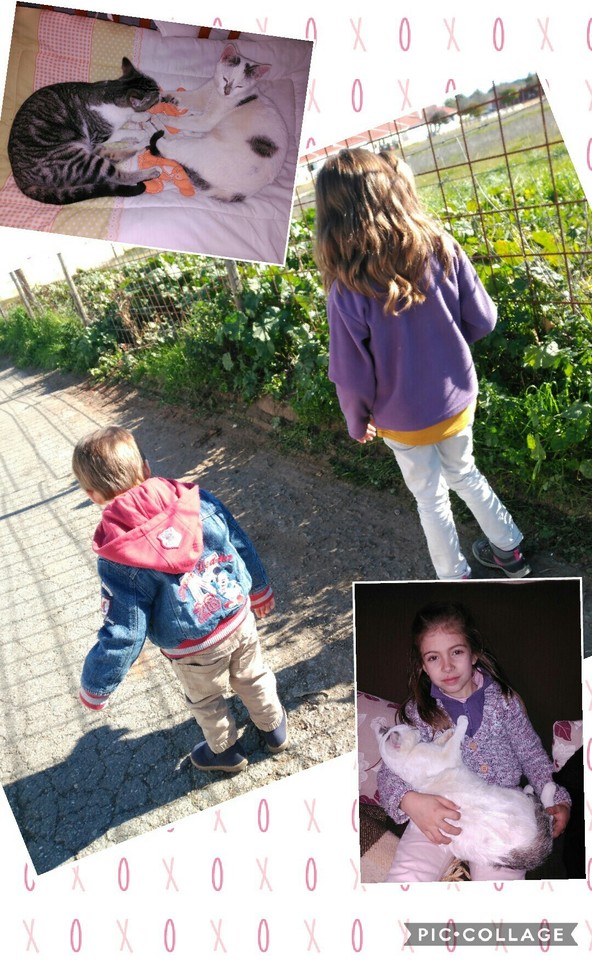 Collage 2017-02-15 23_55_31.jpg