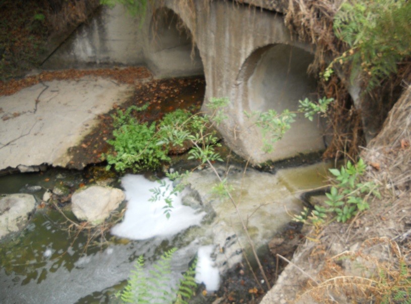 Ribeira_apos_descarga_ETAR_Lavandeira