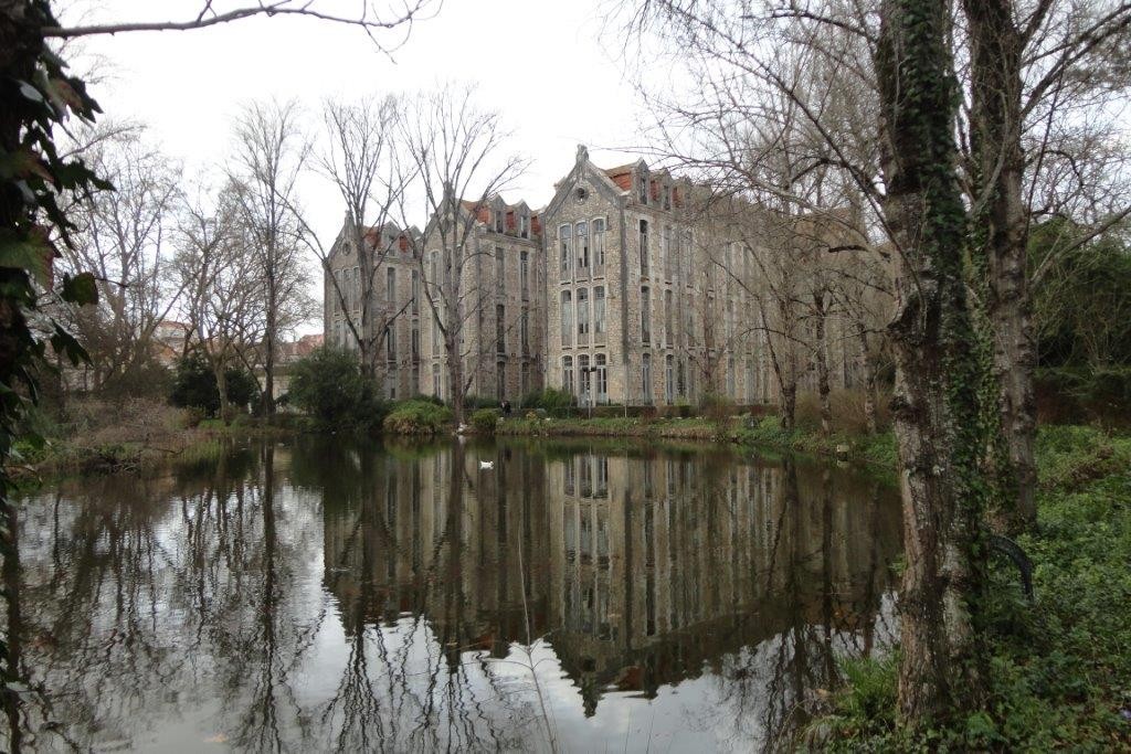 DSC08004.jpg DSC08004.jpg