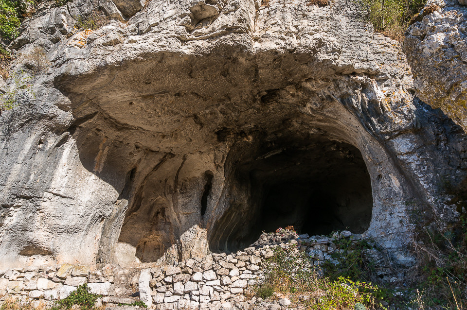 DSC05439.jpg DSC05439.jpg