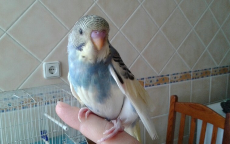 2016-10-24 06.54.16.jpg