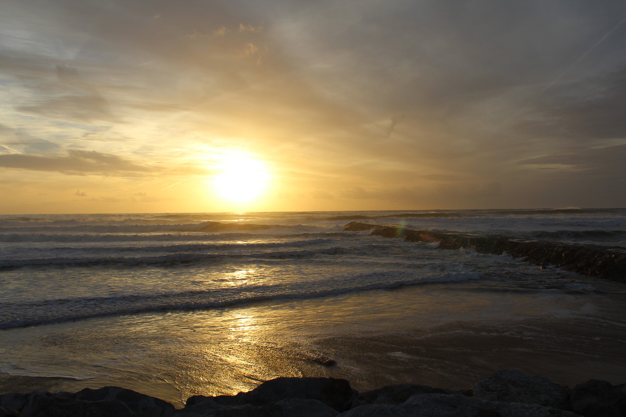 IMG_0163.JPG IMG_0163.JPG