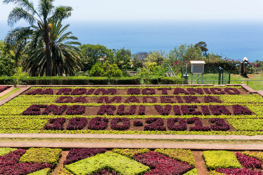 DSC00548.jpg DSC00548.jpg