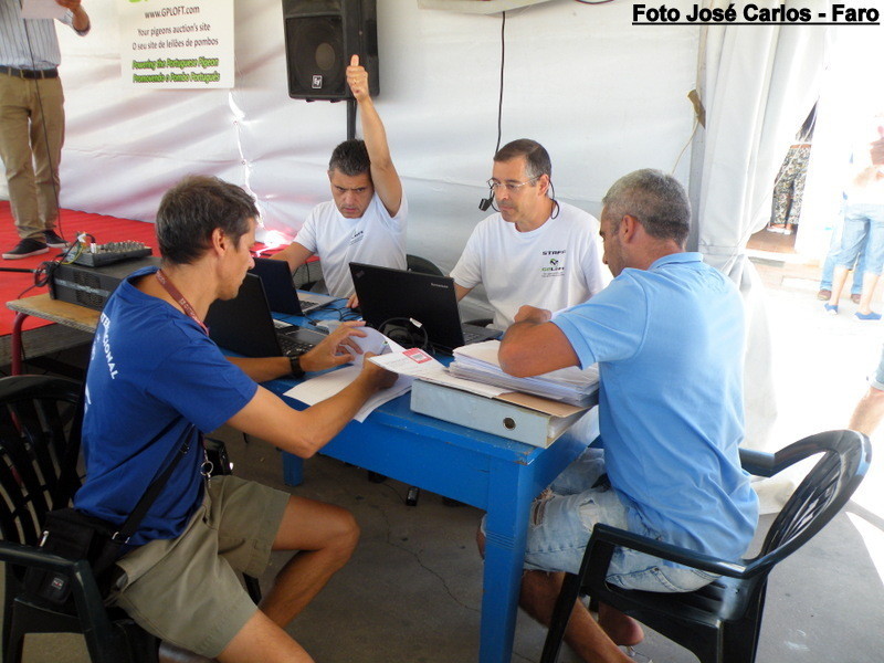 Derby Faro 2017 108.JPG