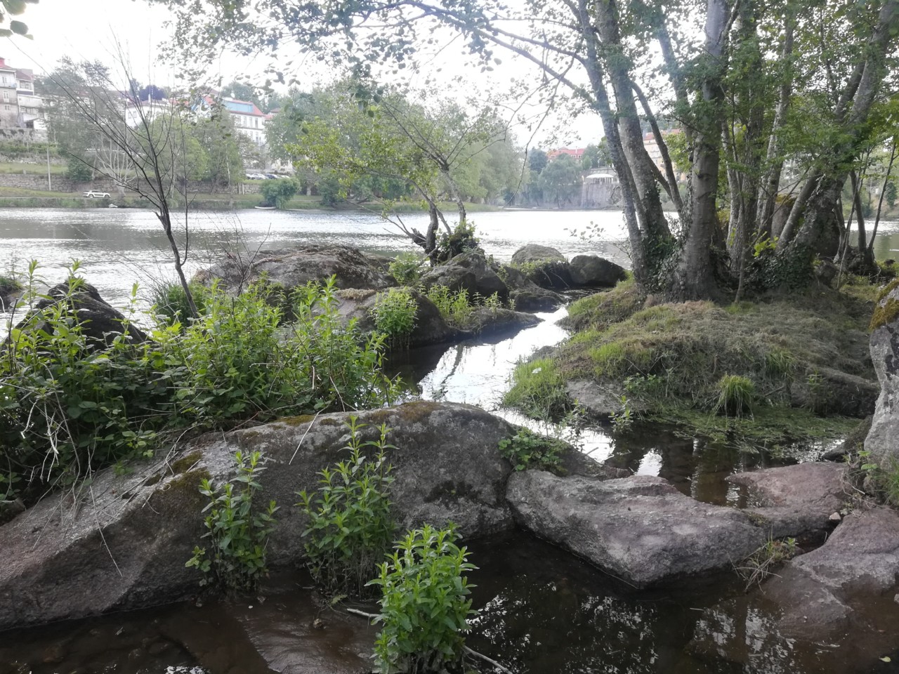 IMG_20180512_103722.jpg IMG_20180512_103722.jpg