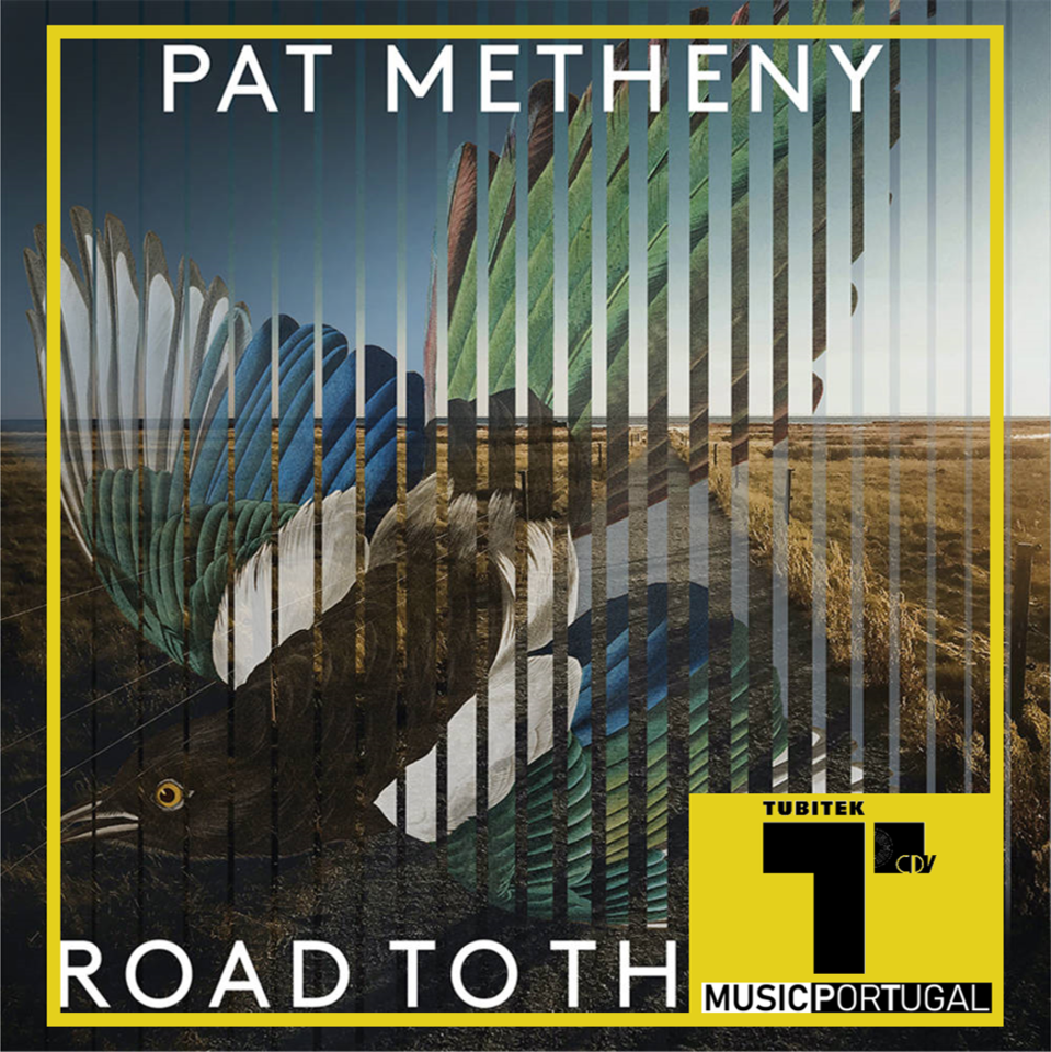 pat metheny.png