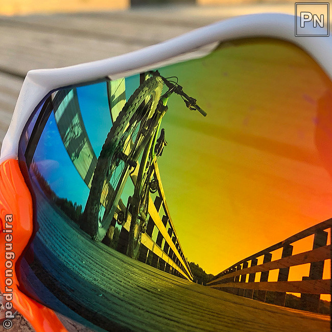 Ago_2019_092a 650px.jpg