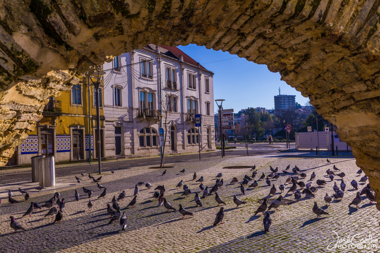 leiria (29).jpg
