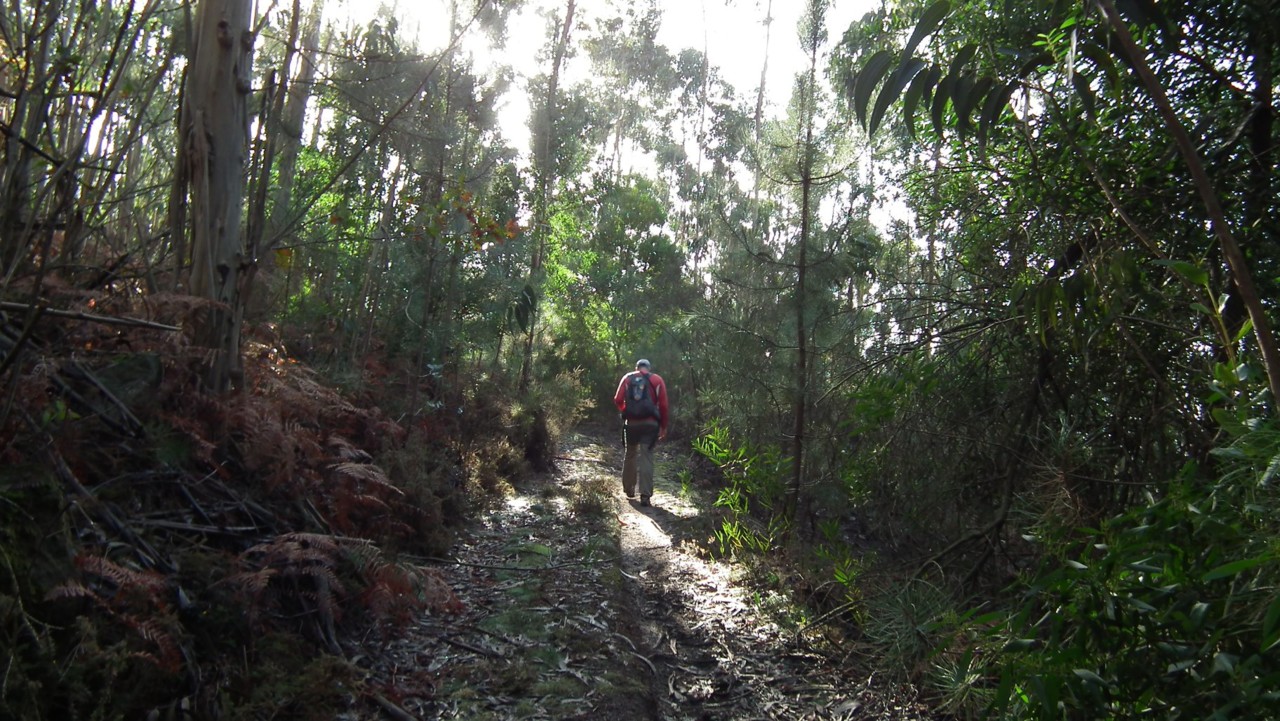 48317927_2518545734854191_1243203293421764608_o.jp 48317927_2518545734854191_1243203293421764608_o.jp