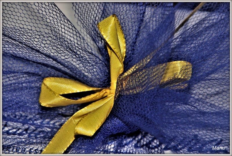 _MG_5096 (3).JPG _MG_5096 (3).JPG