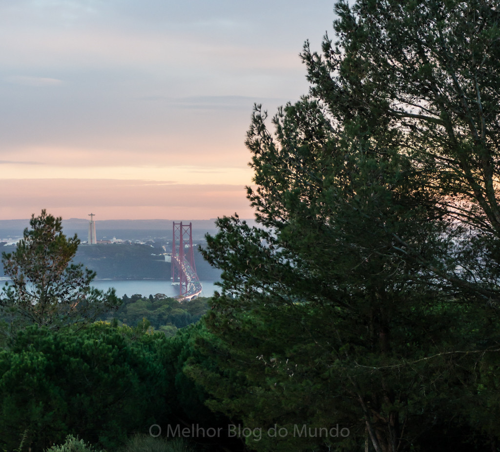 DSC04377.jpg DSC04377.jpg