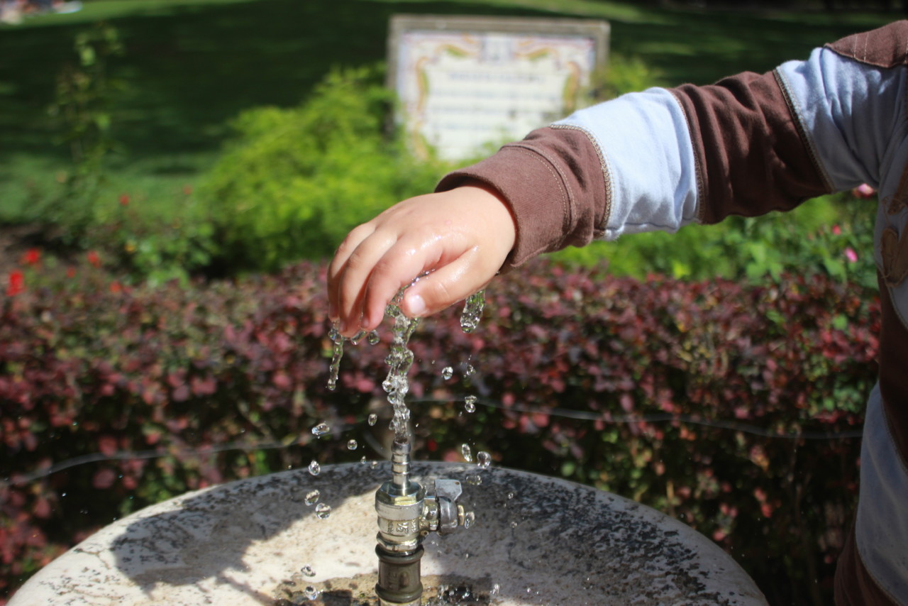 IMG_8964.JPG IMG_8964.JPG