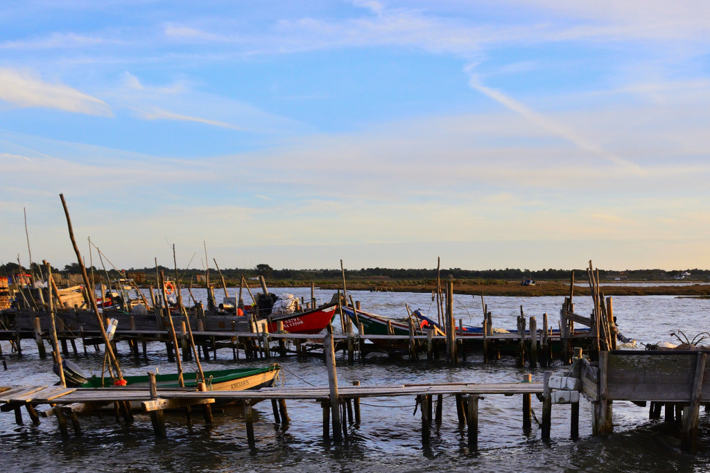 DSC_2956_01_00027.jpg DSC_2956_01_00027.jpg