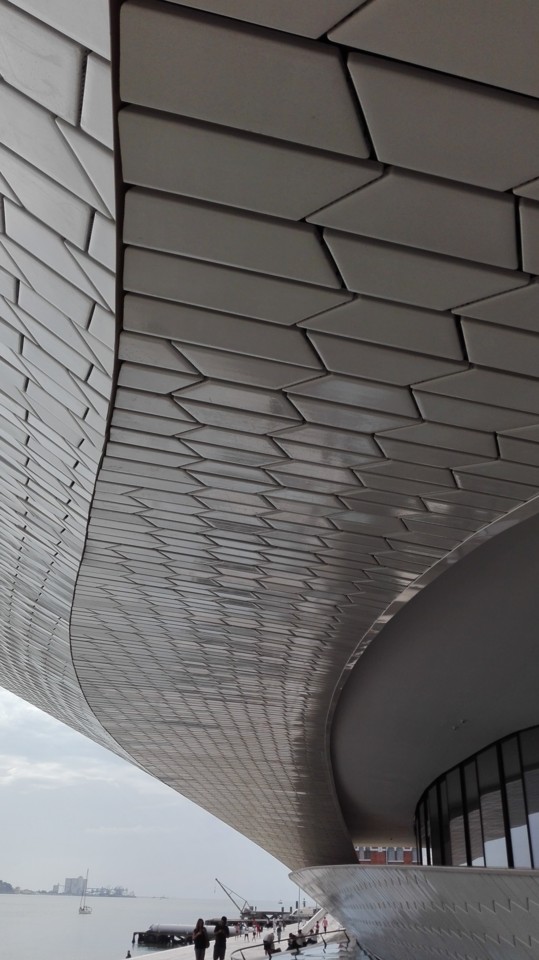 IMG_20170829_155530.jpg IMG_20170829_155530.jpg