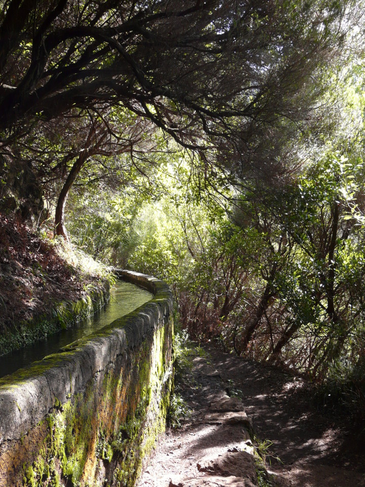 25 Fontes (9).jpg 25 Fontes (9).jpg