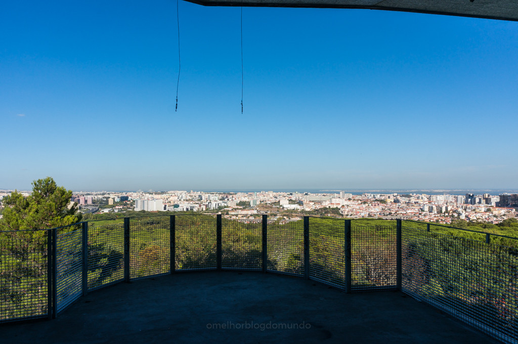 DSC02171.jpg DSC02171.jpg