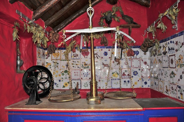 _DSC8913.jpg _DSC8913.jpg