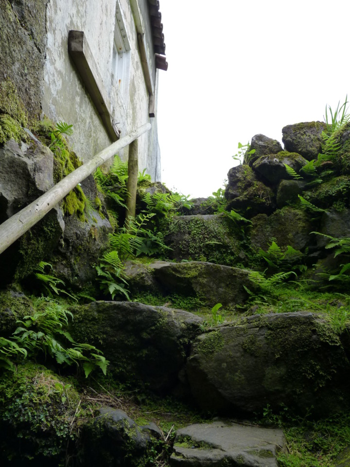 Flores - Moinho da Ribeira da Alagoa (5).JPG