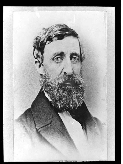 H.D.Thoreau.jpg