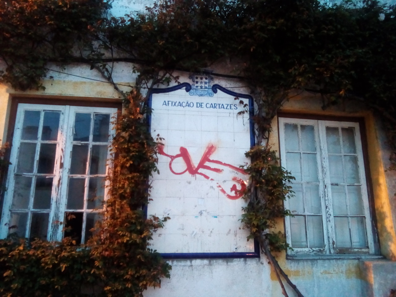 IMG_20190323_185421.jpg IMG_20190323_185421.jpg