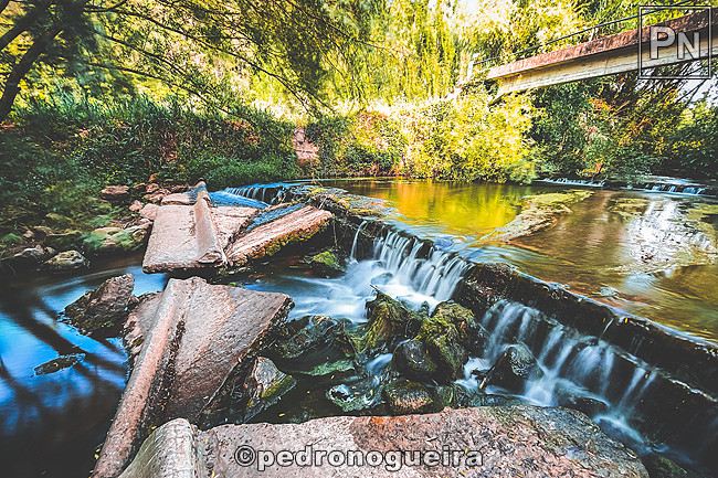 Jun_2021_041b 3_2 650px.jpg