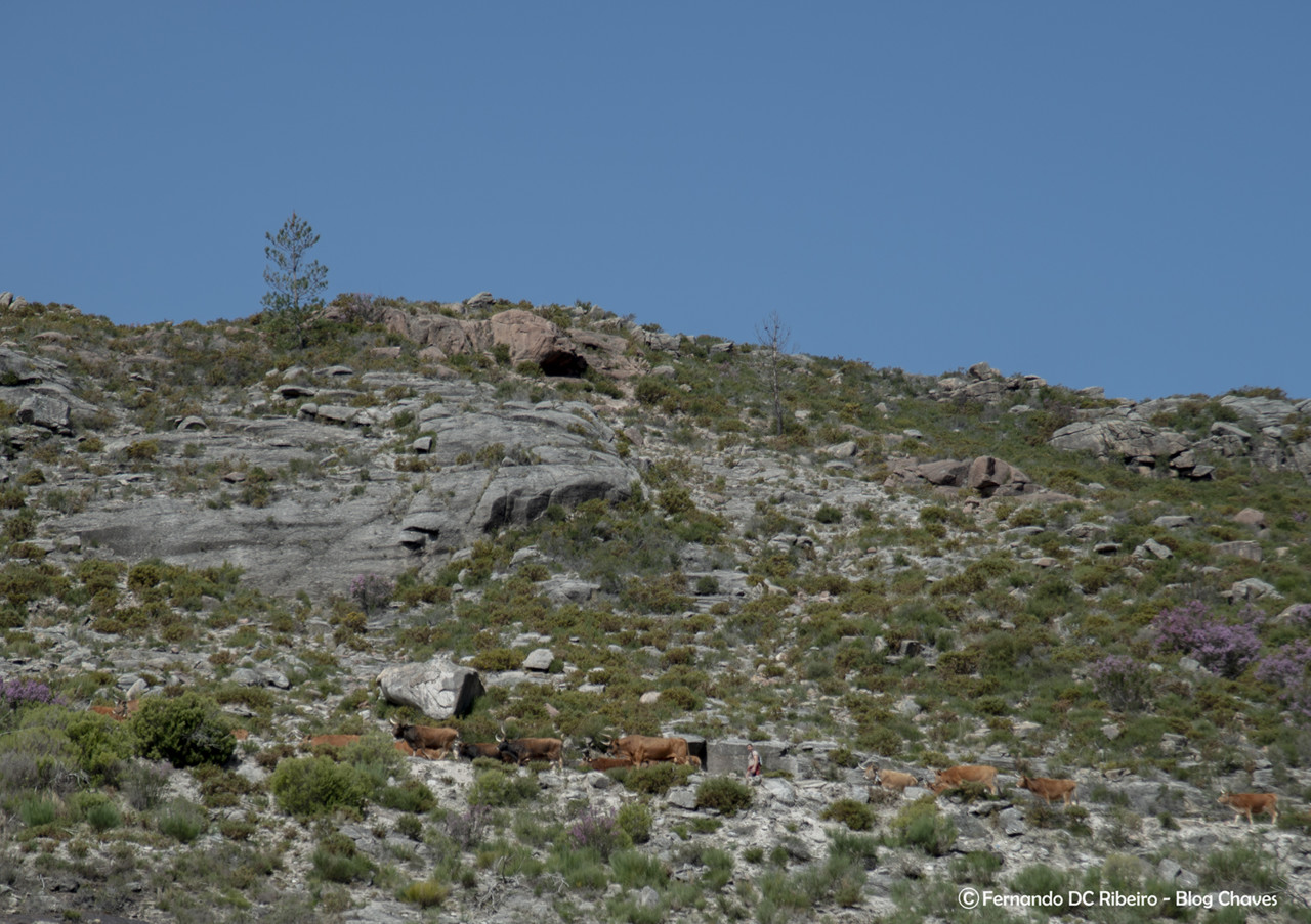 7 lagoas-geres (74).jpg