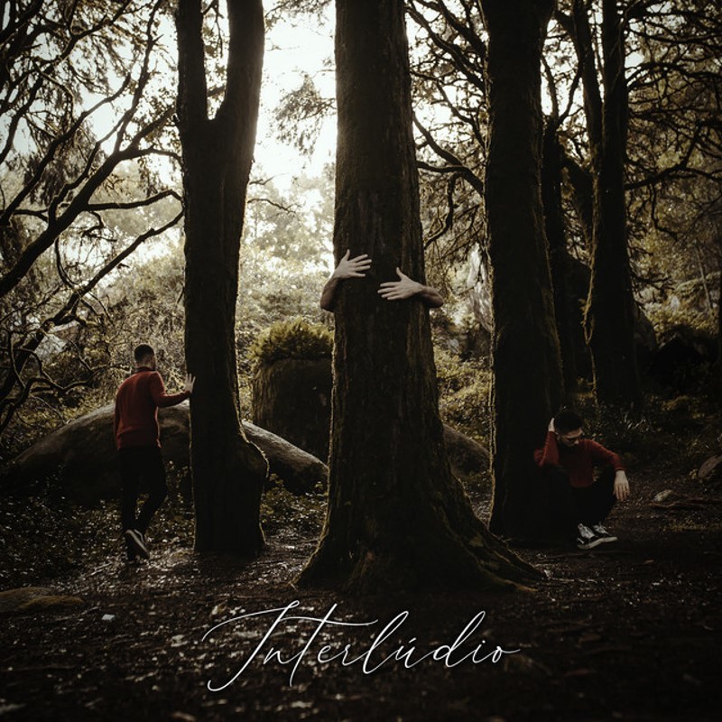 petalas de vidro.jpg petalas de vidro.jpg