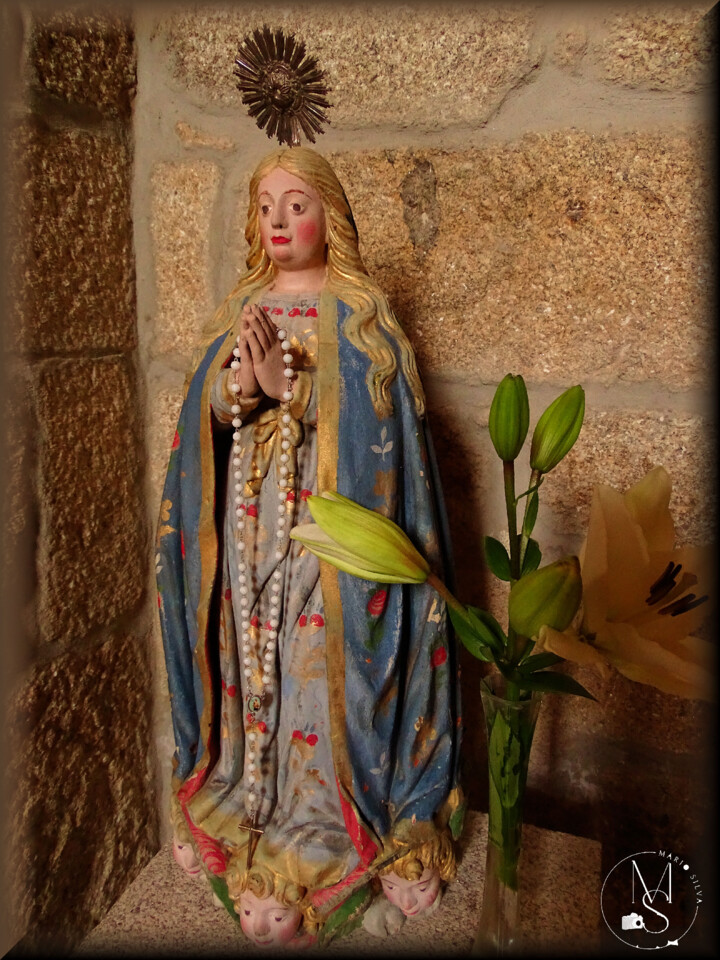 08Dez DSC09416_ms 2.JPG