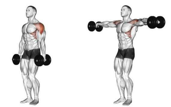 elevação-lateral-treino-de-ombros-canal-saudavel