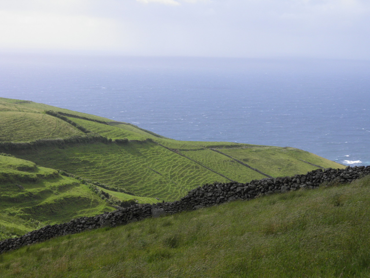 Ponta do Albarnaz, Flores (5).JPG