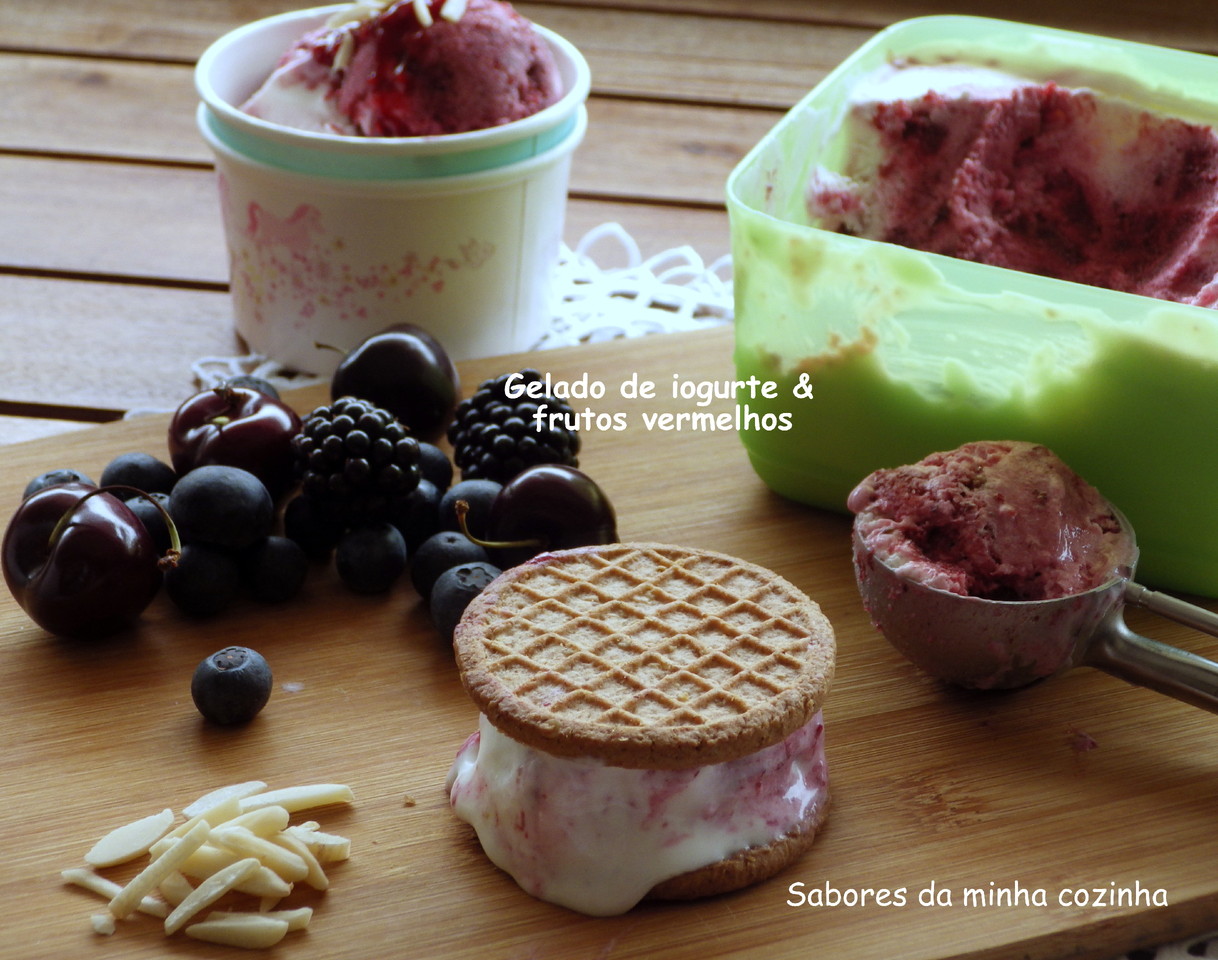 IMGP6403-Gelado de frutos vermelhos-Blog.JPG