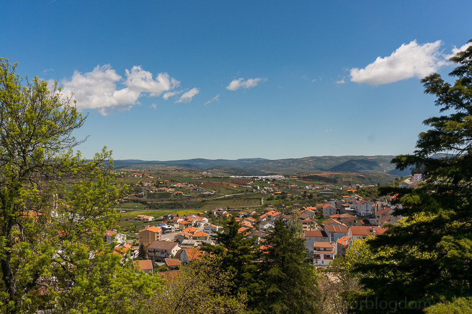 DSC02212.jpg DSC02212.jpg