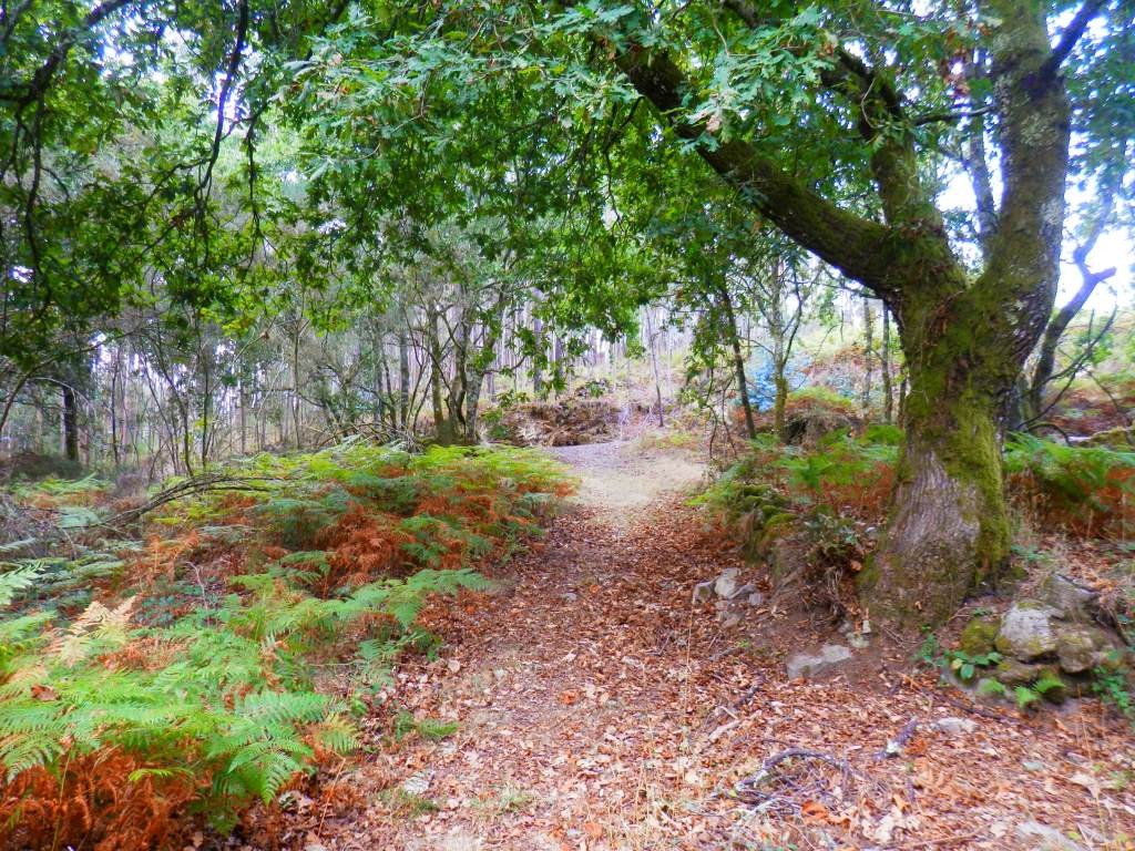 P9120535.JPG P9120535.JPG