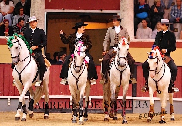 barreira de sombra01-01-01-DSC_9668.JPG barreira de sombra01-01-01-DSC_9668.JPG
