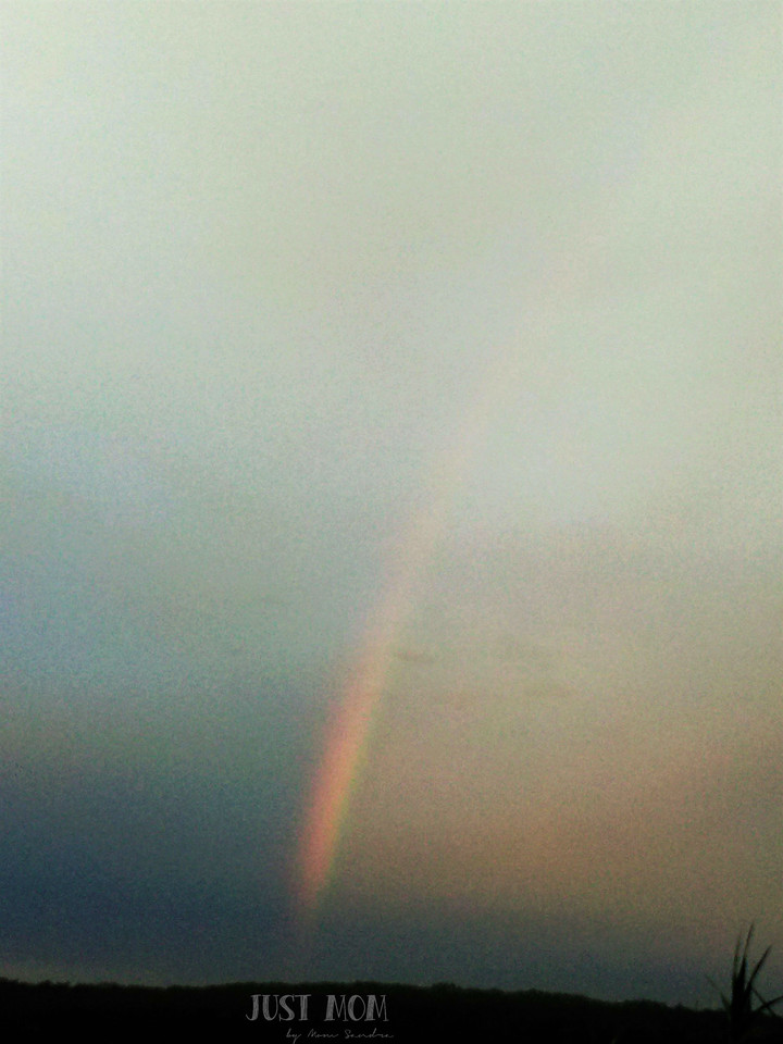 Just Mom by Mom Sandra