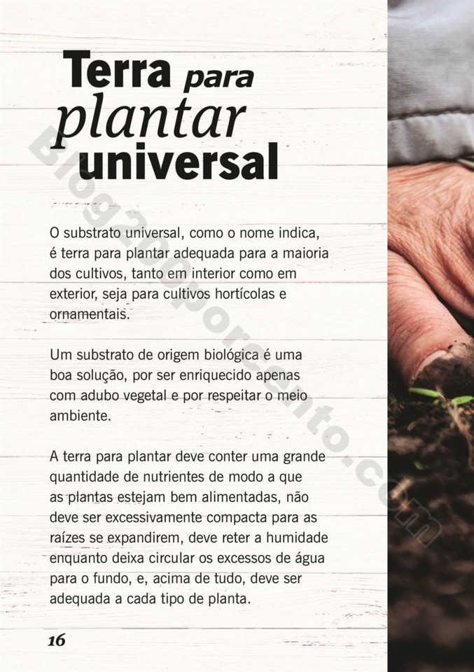 plantas_lidl_mercado_015.jpg