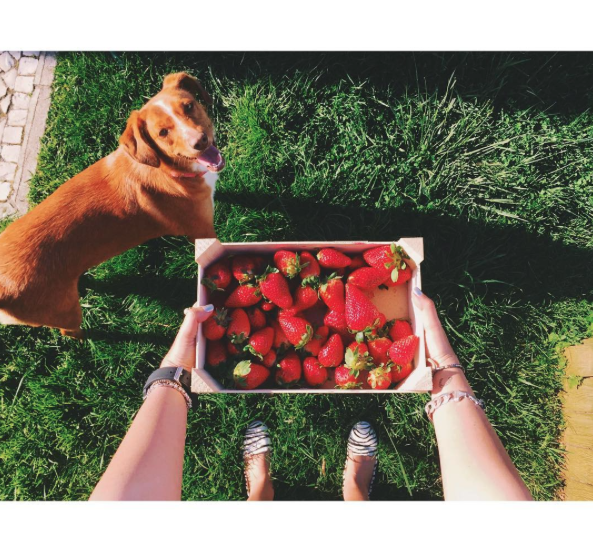 Captura de ecrã 2016-04-27, às 08.14.52.png