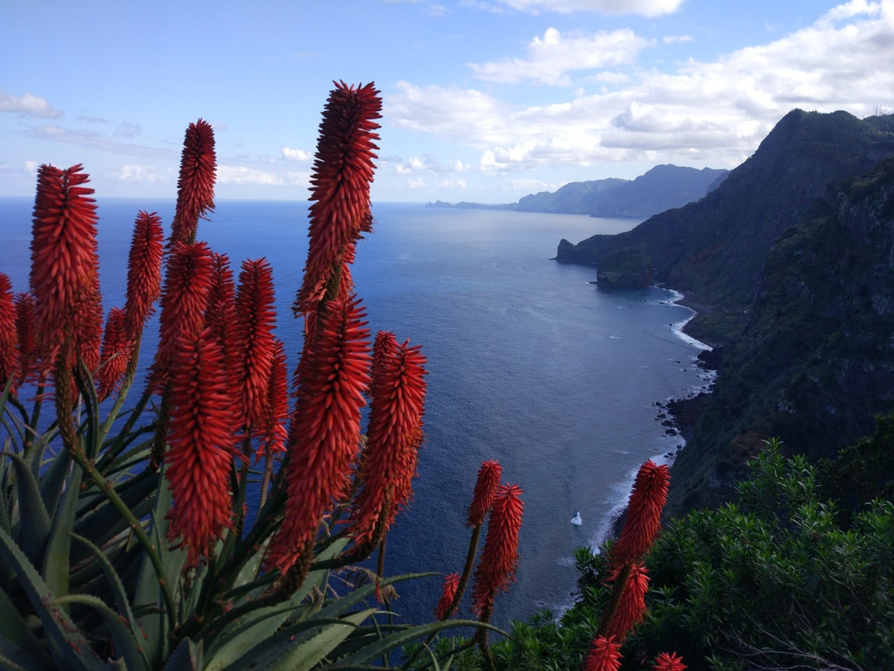 IMG_20190115_144329.jpg IMG_20190115_144329.jpg