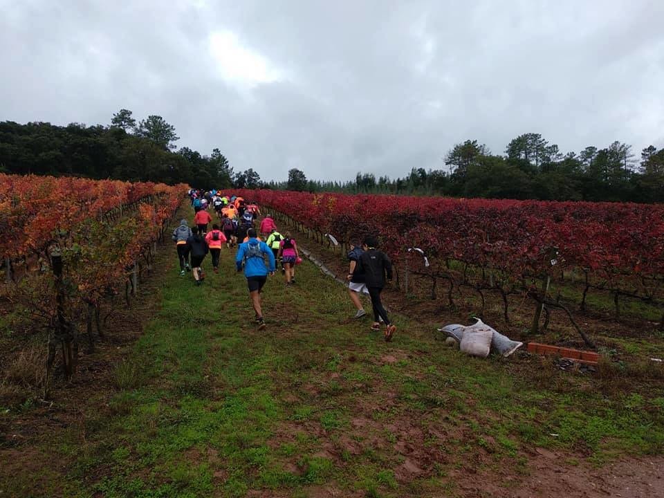 Wine Trails Portugal 1.jpg