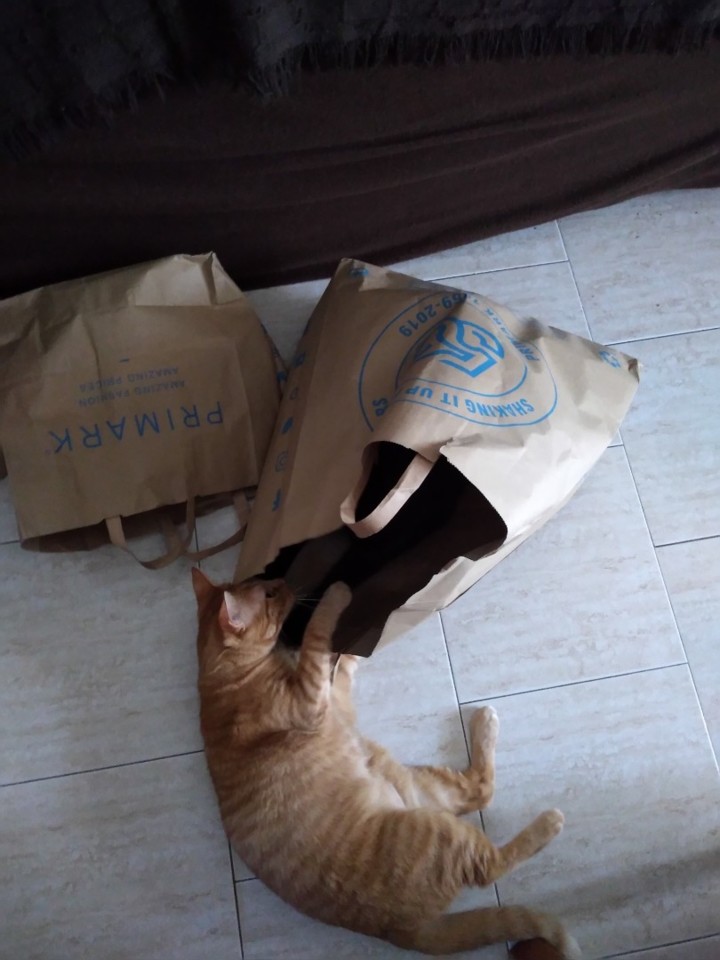 SquarePic_20190801_12262246.jpg SquarePic_20190801_12262246.jpg