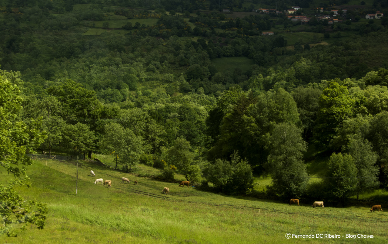 aniversario-15 (18).jpg