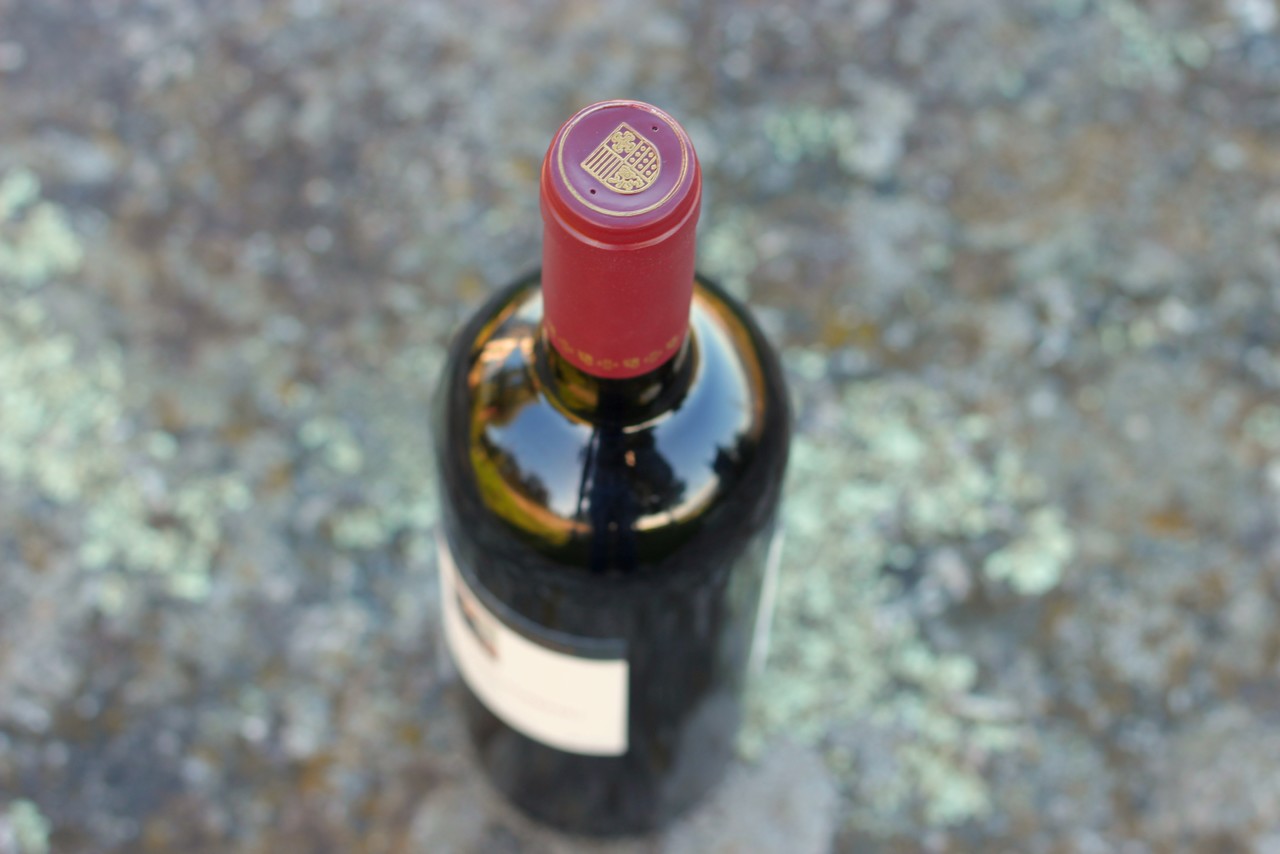 Antonia Adelaide Ferreira Tinto 2016