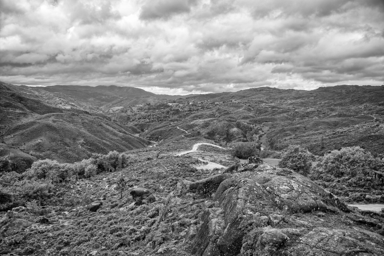 _JMF1375 - cópia copy.jpg