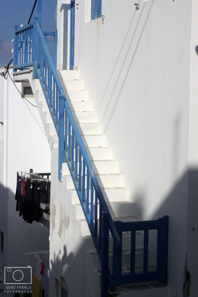 IMG_5789_net.jpg IMG_5789_net.jpg