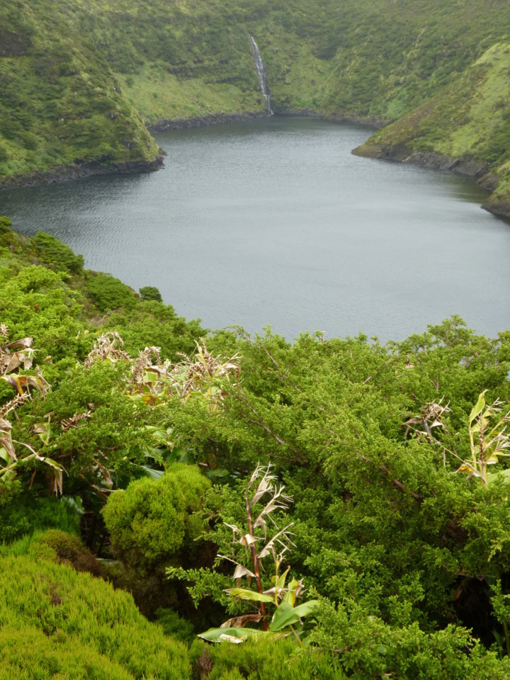 Lagoa Comprida, Flores (3).JPG