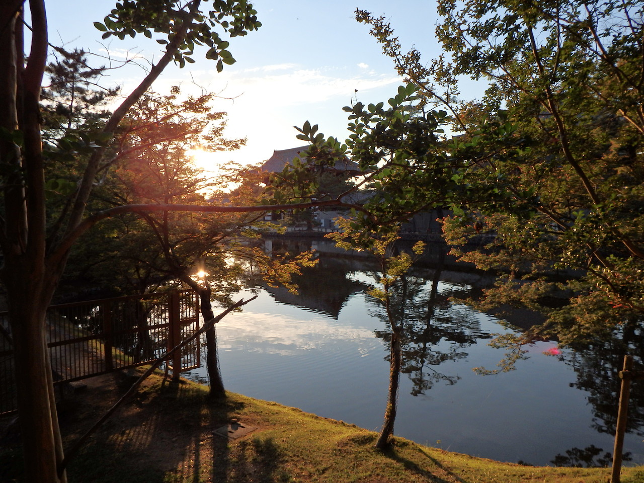 P6091883.JPG P6091883.JPG