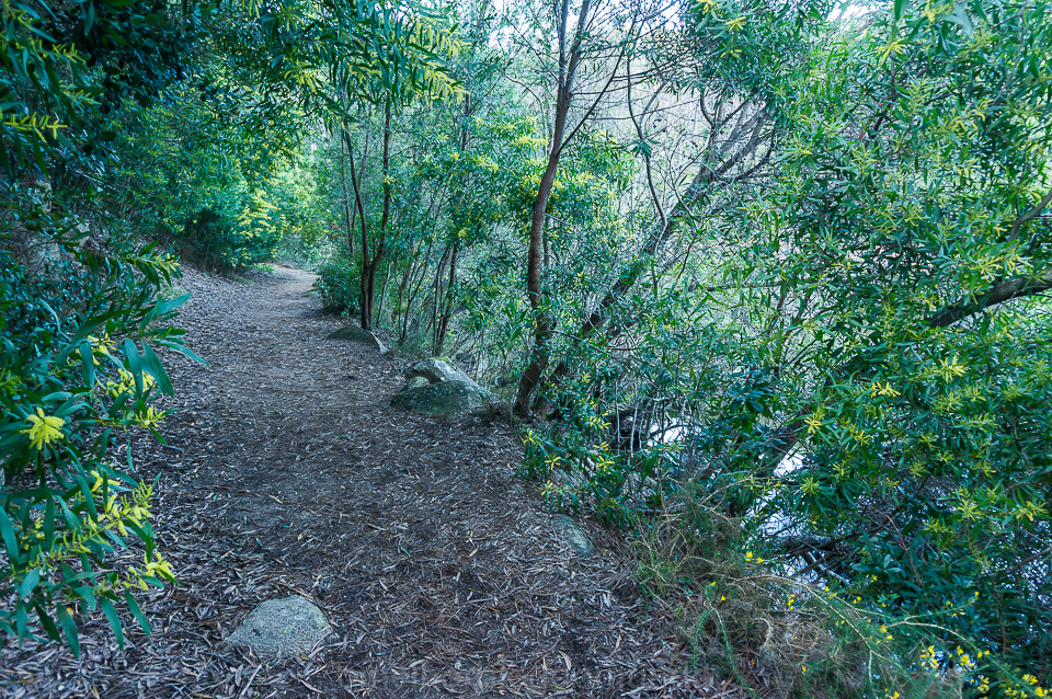 DSC07477.jpg DSC07477.jpg