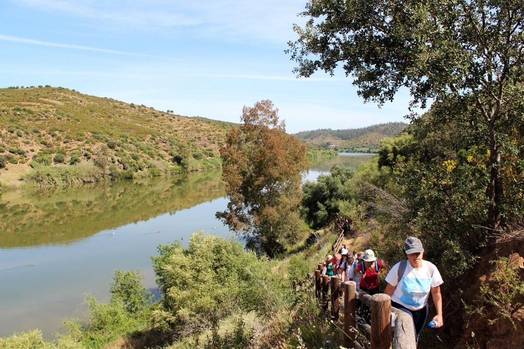 IMG_8951.jpg IMG_8951.jpg